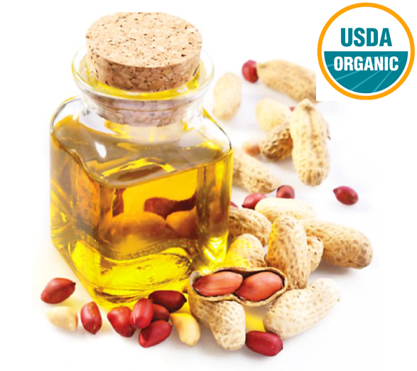 wholesale organic peanut oil suppliers in united states